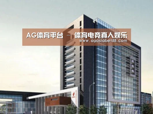 AG电子案例展示四