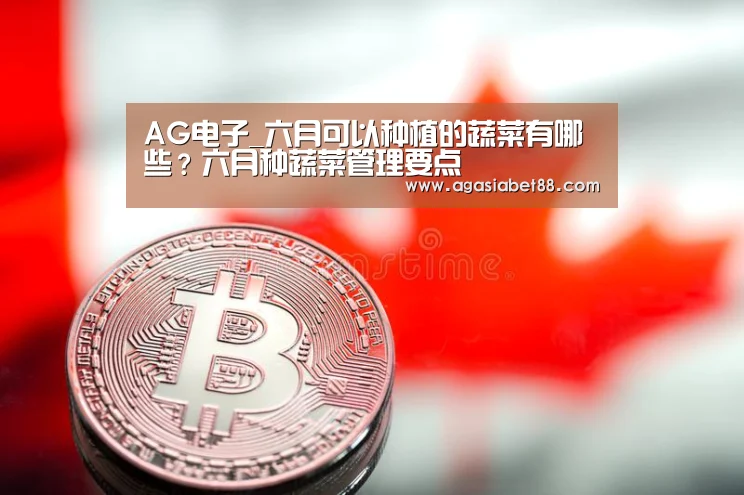 AG电子_六月可以种植的蔬菜有哪些?六月种蔬菜管理要点(图3) AG竞猜