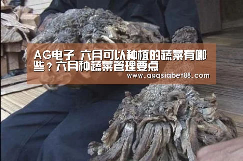 AG电子_六月可以种植的蔬菜有哪些?六月种蔬菜管理要点(图2) AG电子