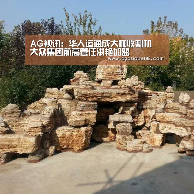 AG视讯:华人运通成大咖收割机 大众集团前高管任洪艳加盟(图1) AG竞猜